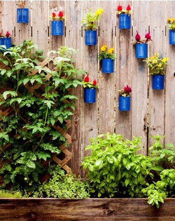 Creative Garden Decoration