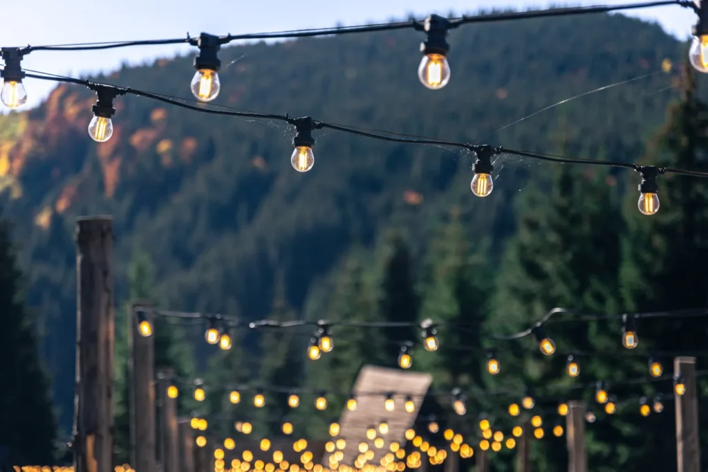 Solar fairy lights illuminating a garden, adding a magical and eco-friendly glow to outdoor spaces.