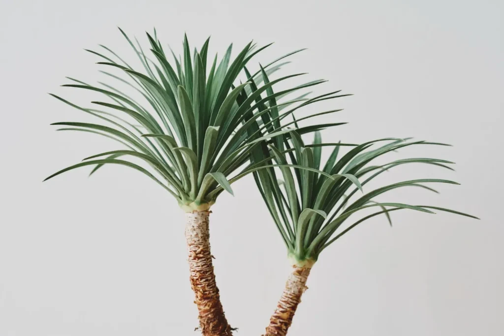 Tall Artificial Palm Plant for Tropical Decor

